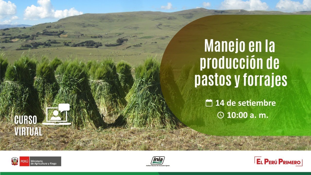 Manejo en la producción de pastos y forrajes