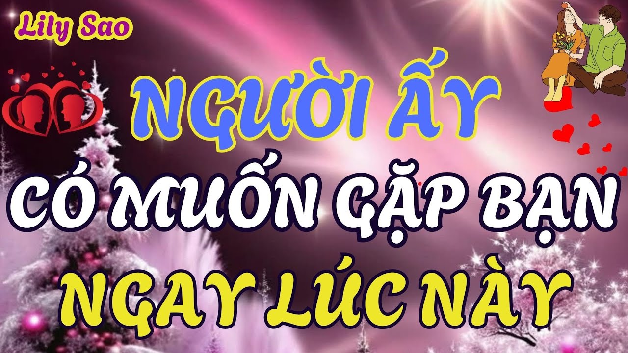 Tarot | Người ấy có muốn gặp bạn ngay lúc này không ?