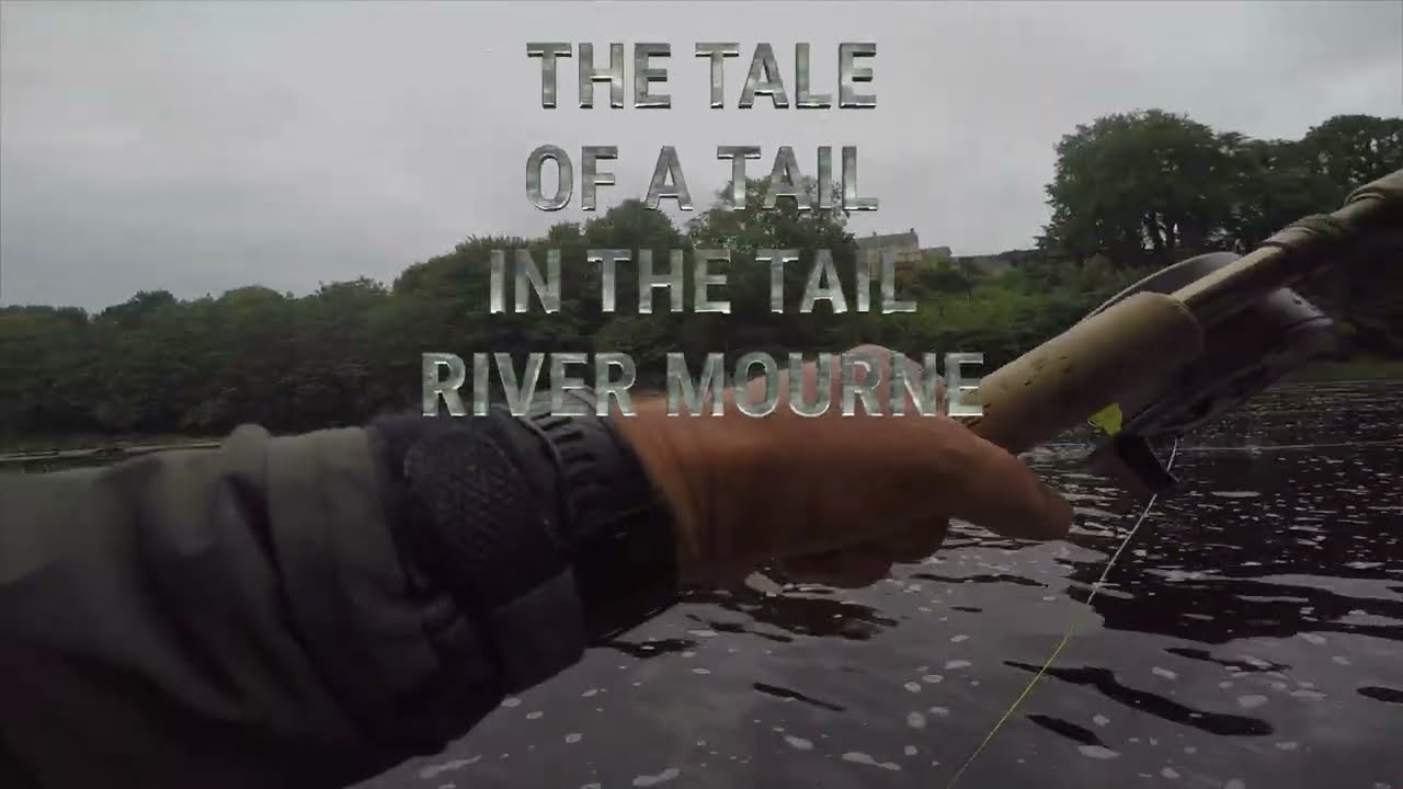 Take 51 The Tale of a Tail in the Tail  Gravenue  River Mourne 9 July 2015