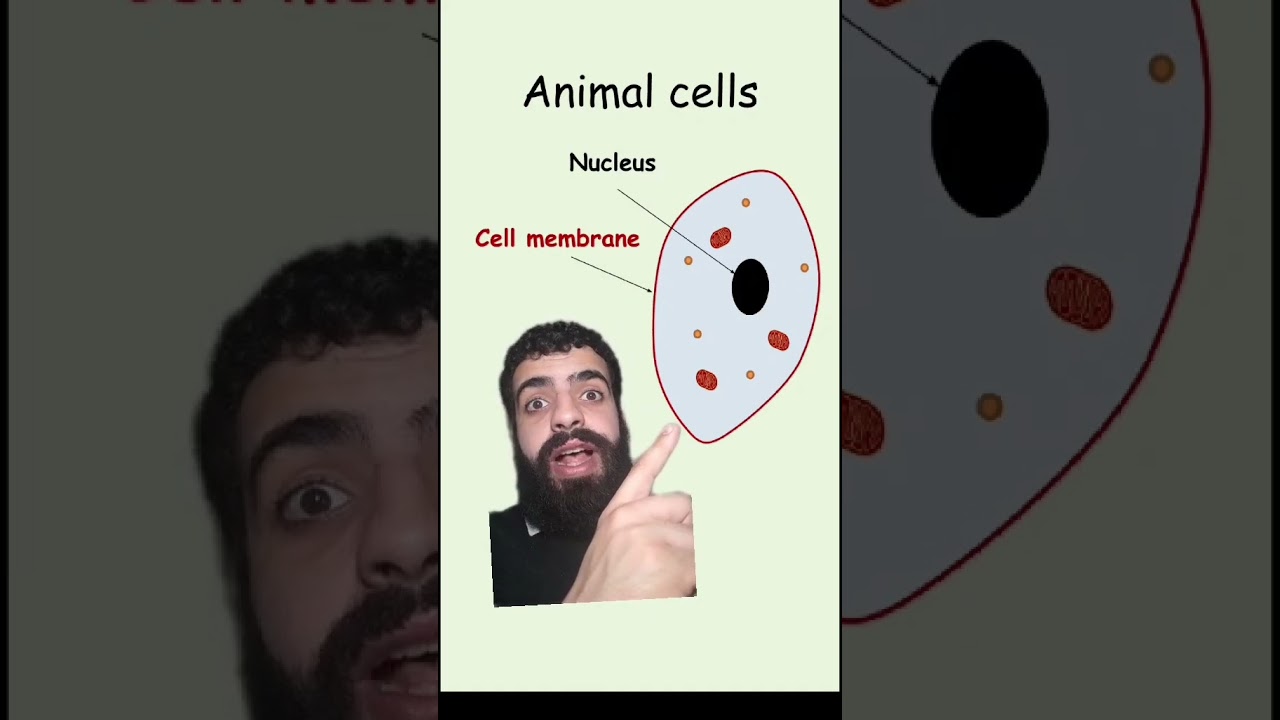 Animal and plant cells - GCSE Science in a minute #animals #smart #gcsescience #plants #education
