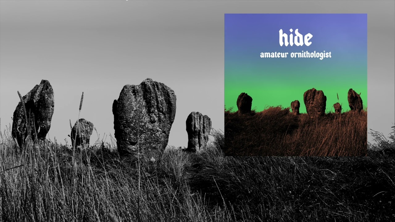 Amateur Ornithologist - A Hidden Path (Official Audio)