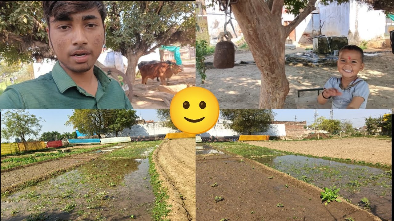 Khet mein Pani chal raha hai ?🙂🙂