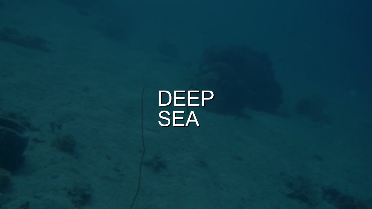 Deep Sea Sounds — 8 Hours for Sleep & Relaxation (No Interruptions)
