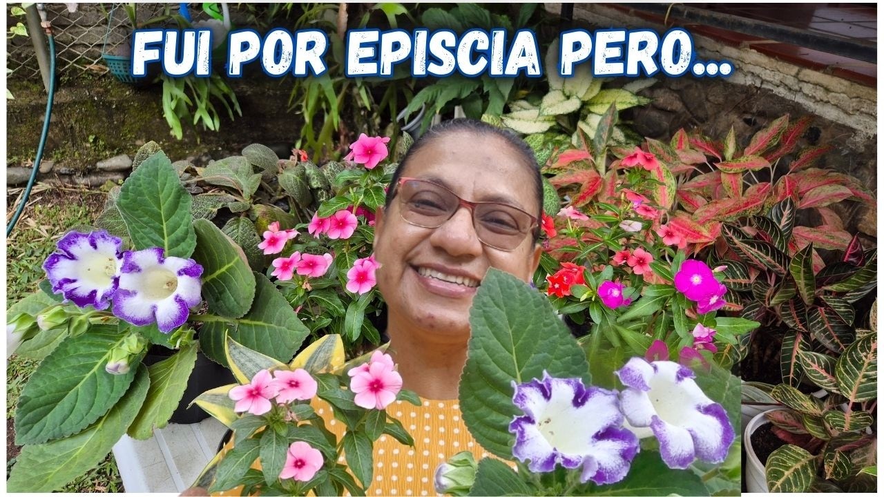 FUI A COMPRAR EPISCIAS PERO TRAJE MAS PLANTAS🥰/Liliana Muñoz