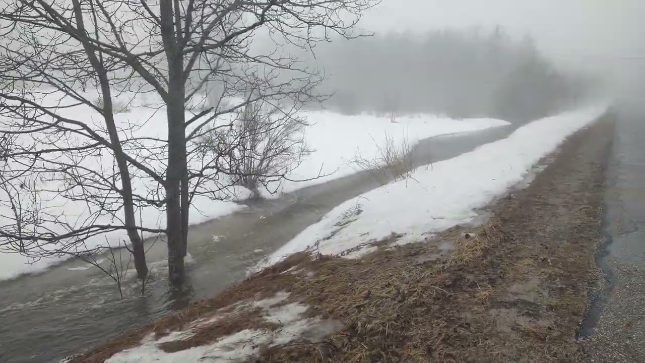 Early March Morning Thaw 
