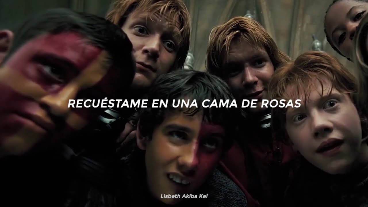 Si te gusta Harry Potter esta combinación dolerá 💔 | Harry Potter 🎆