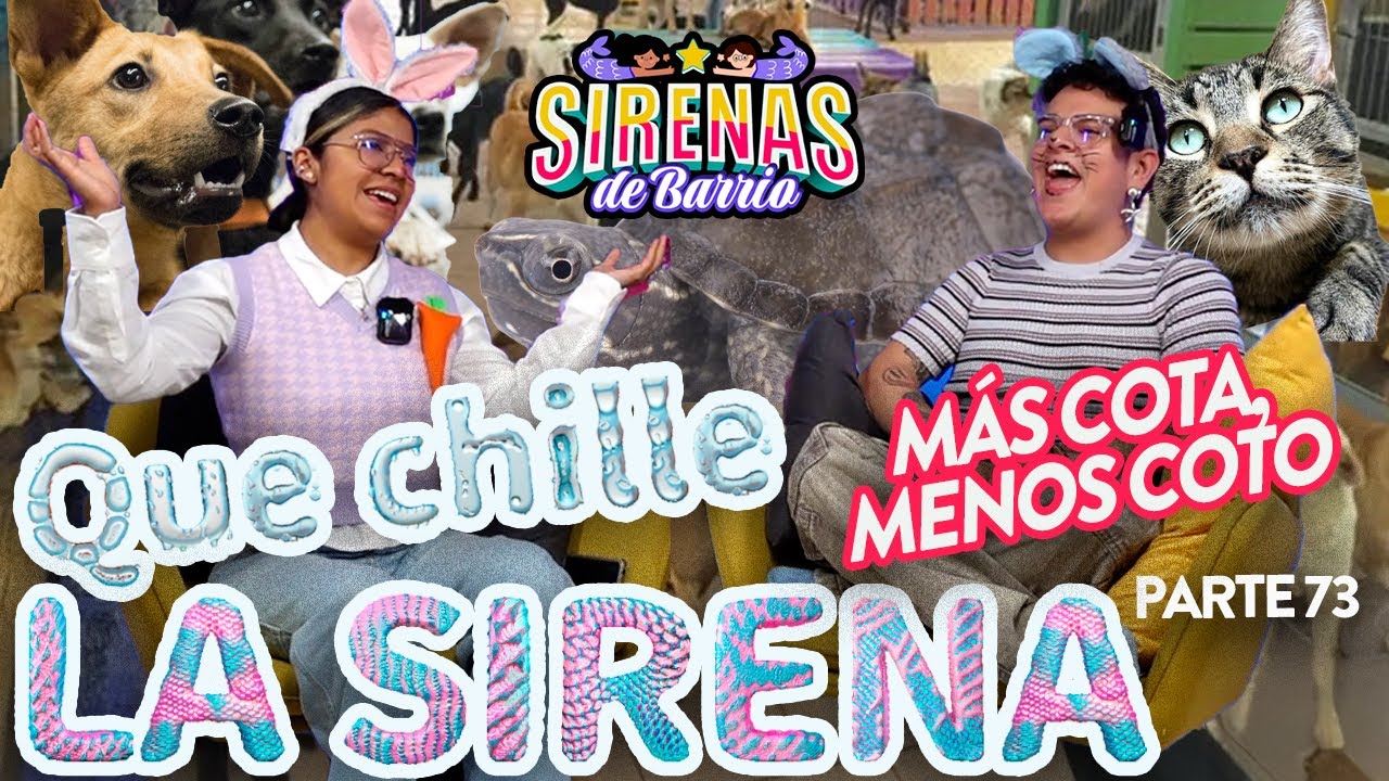 QUE CHILLE LA SIRENA Pt 66 | 🐶🐱🐦MASCOTA, MENOS COTO Ep.73 🐶🐱🐦 |  Sirenas de Barrio