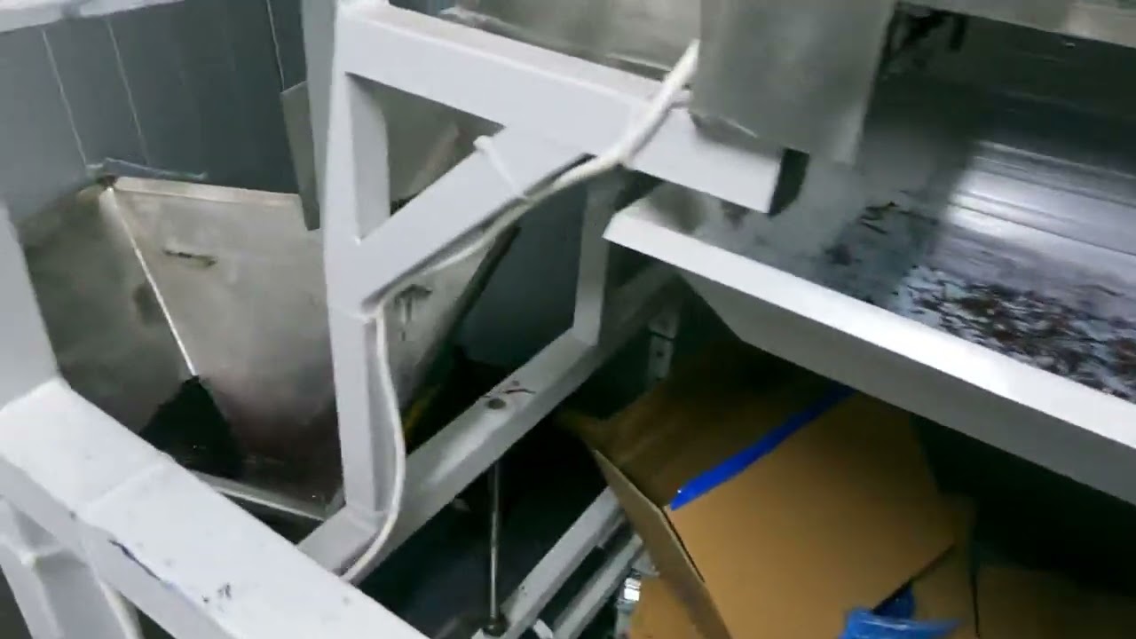 INSORTEX - Лінія сортування бузини та чорниці / elderberry sorting line (blueberries, blackberries)