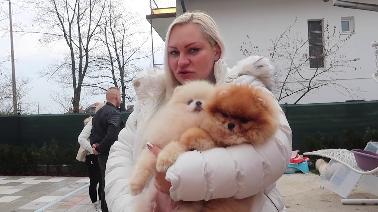 BADY u poseti porodici