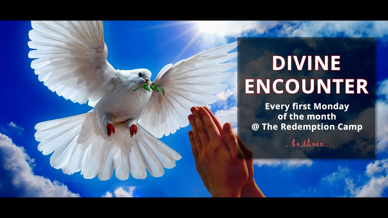 NOVEMBER 2015 - DIVINE ENCOUNTER