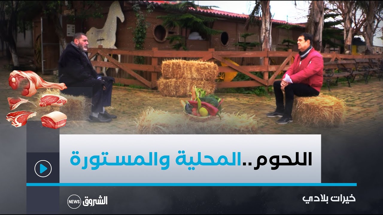 خيرات بلادي | أسعار اللحـــوم.. اللحوم المستوردة والمحلية
