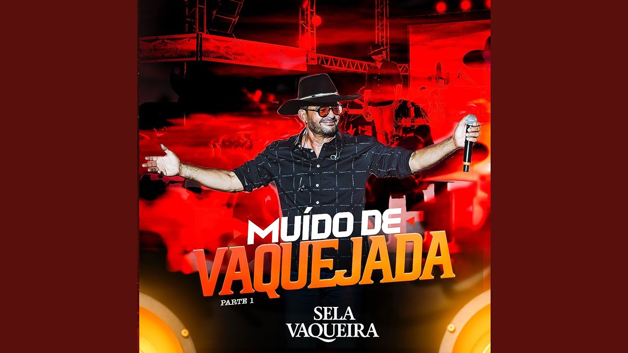 Vaqueiro Xonado