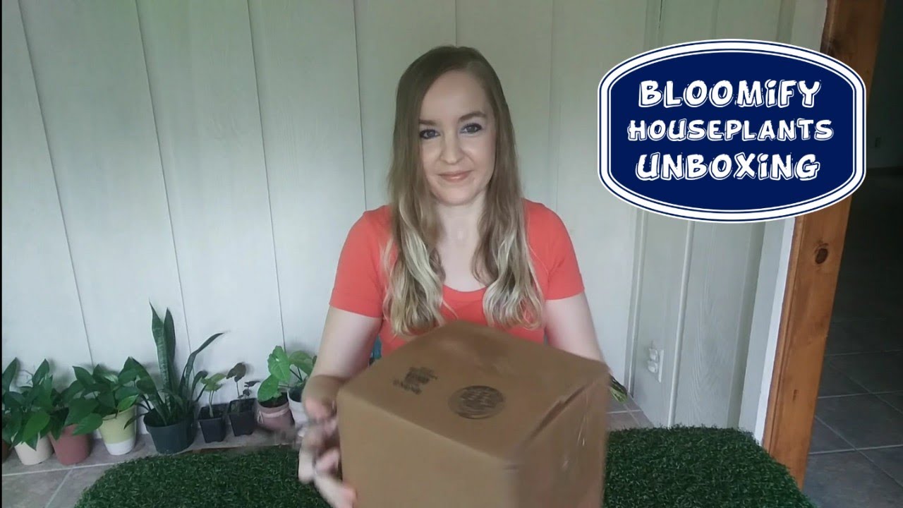 Bloomify Houseplants Unboxing