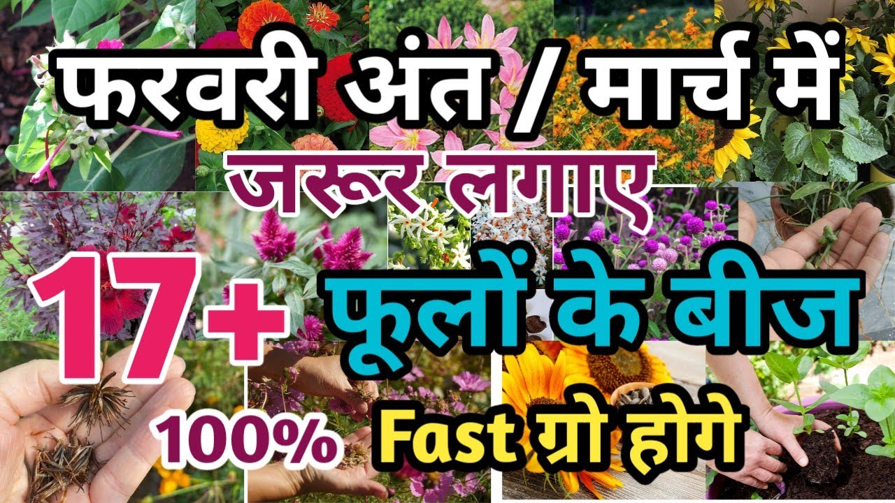Feb,मार्च में लगाए सबसे फास्ट बीज से ग्रो होने वाले गर्मी के फूल || 17+ Summer flowers grow by seeds