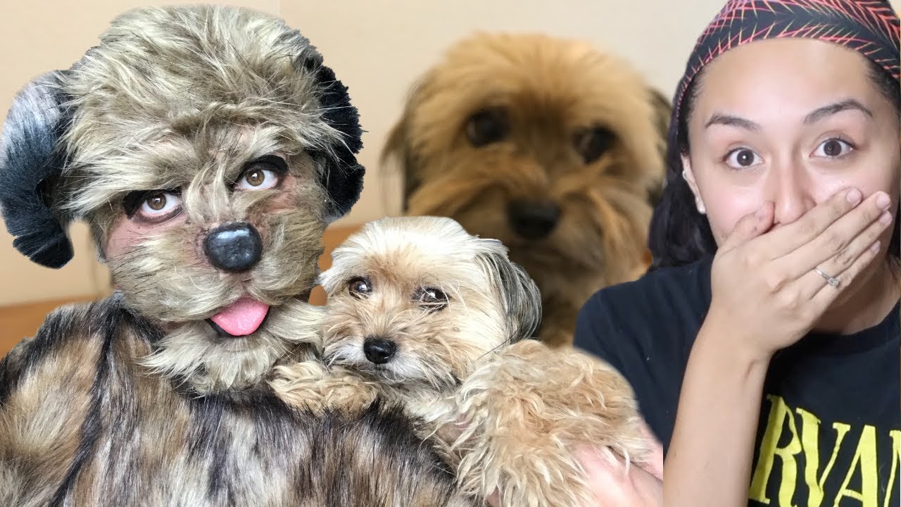 FX Makeup Artist Transforms Me Into My Dog