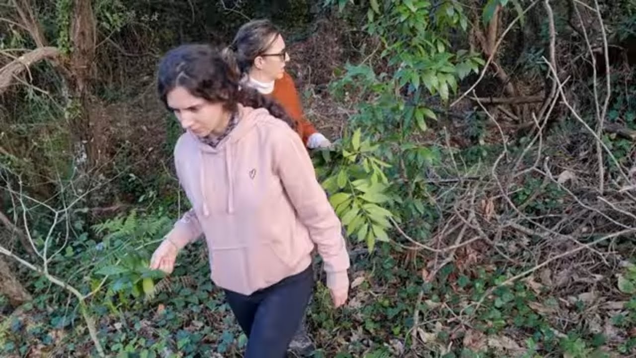 Cogiendo un poco de laurel