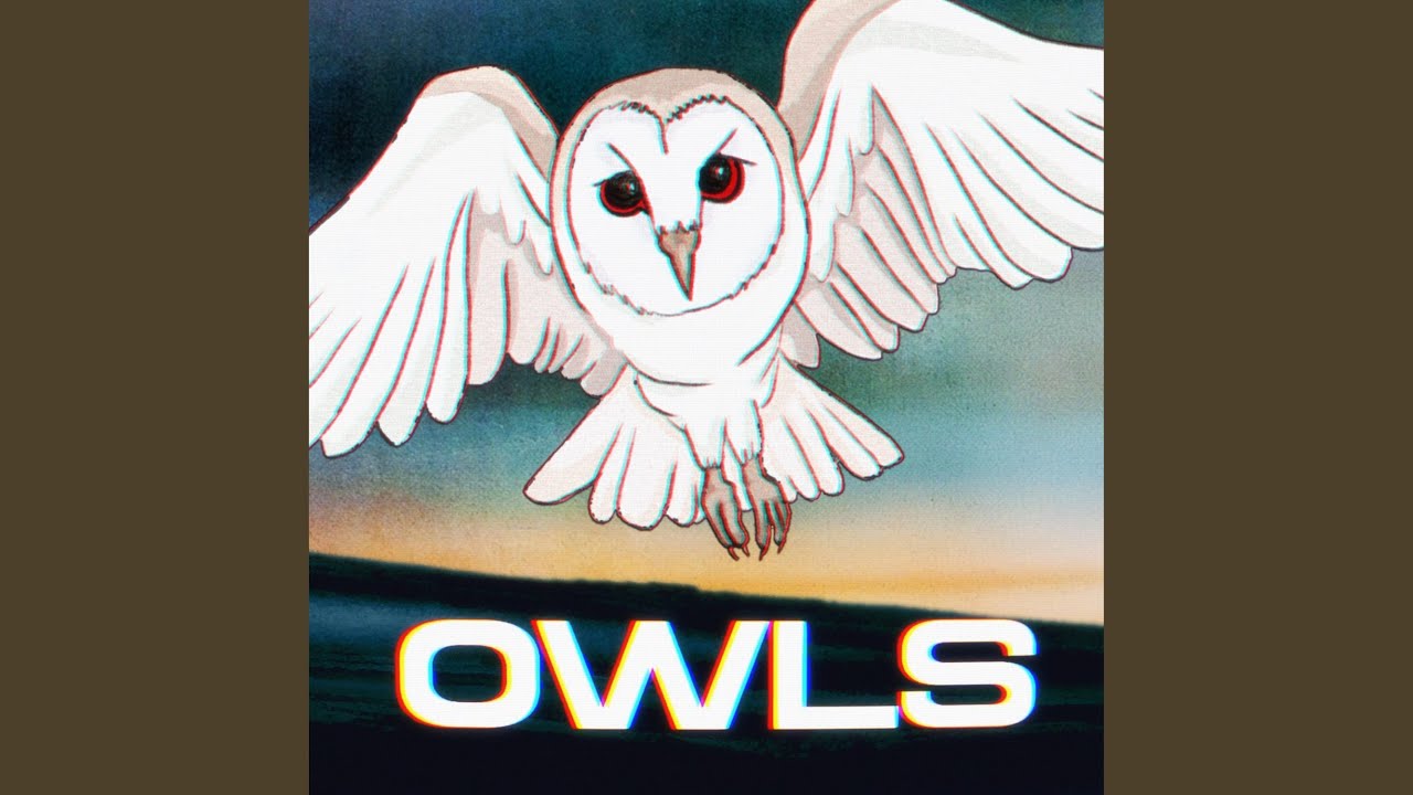 OWLS