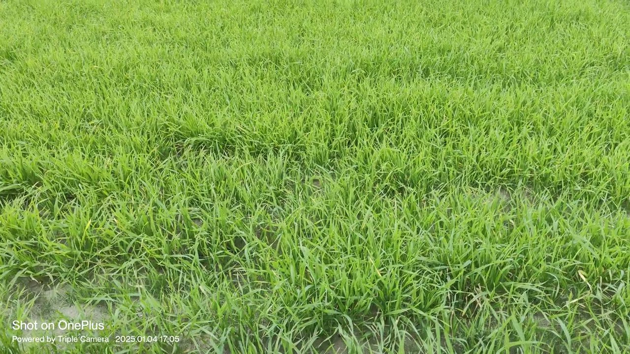 Property for sale sasti zameen for sale Noor pur thal khushab sasti zameen leny k leat rabta kren
