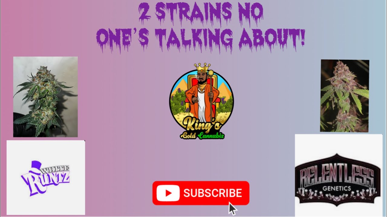 2 Strains that no one&rsquo;s Talking about! (Stunray / Potato Runtz) Day 68-69F