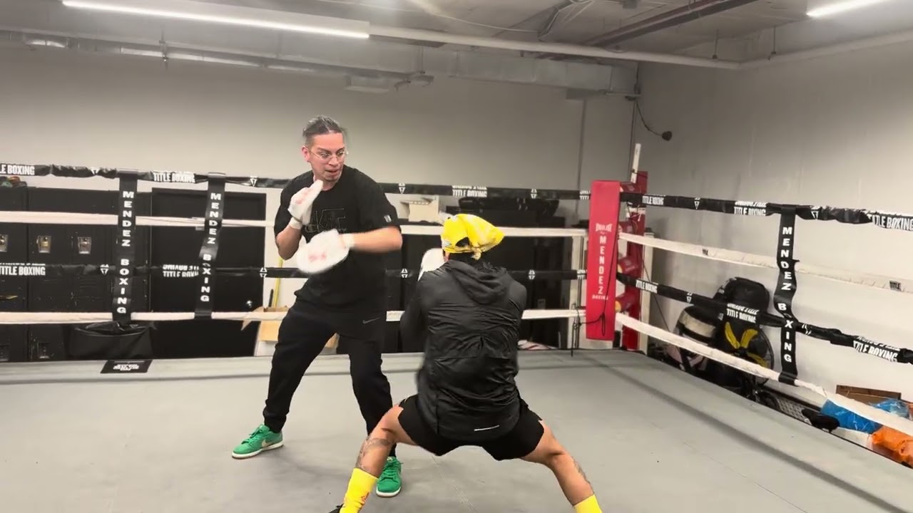 Andy Dominguez Hitting Mitts