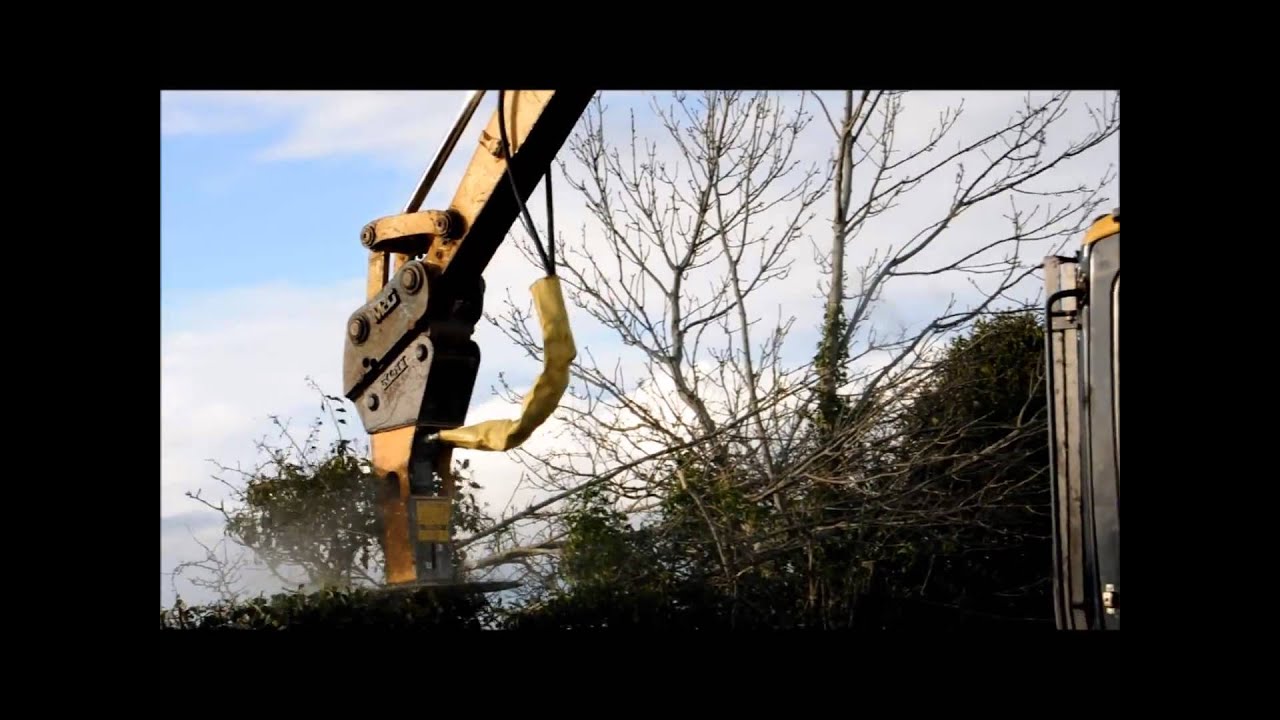 Destroying Hedges 2