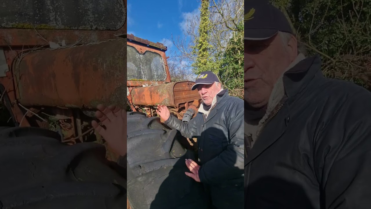 Один из них был найден в живой изгороди за домом.