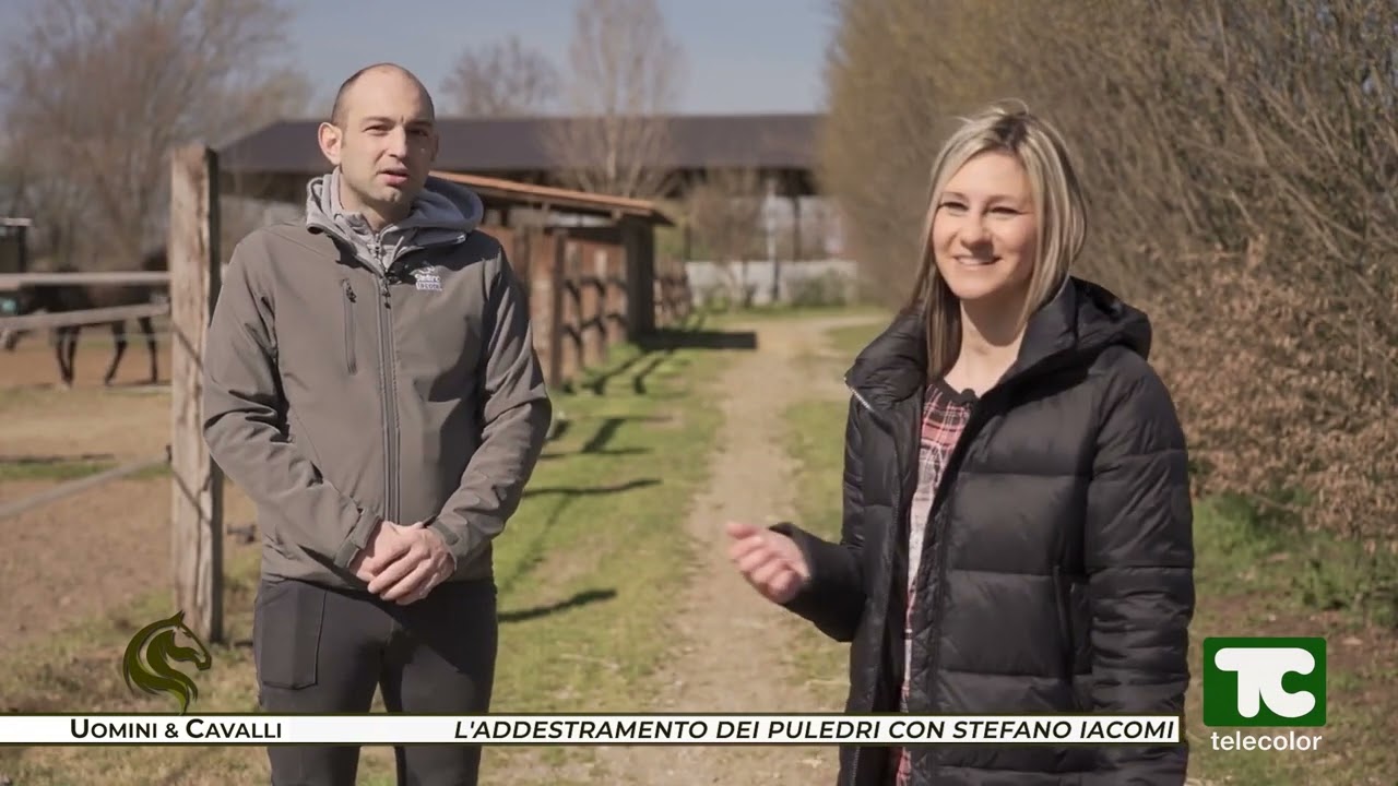 L'addestramento dei puledri con Stefano Iacomi   servizio Uomini&Cavalli   14 01 2024