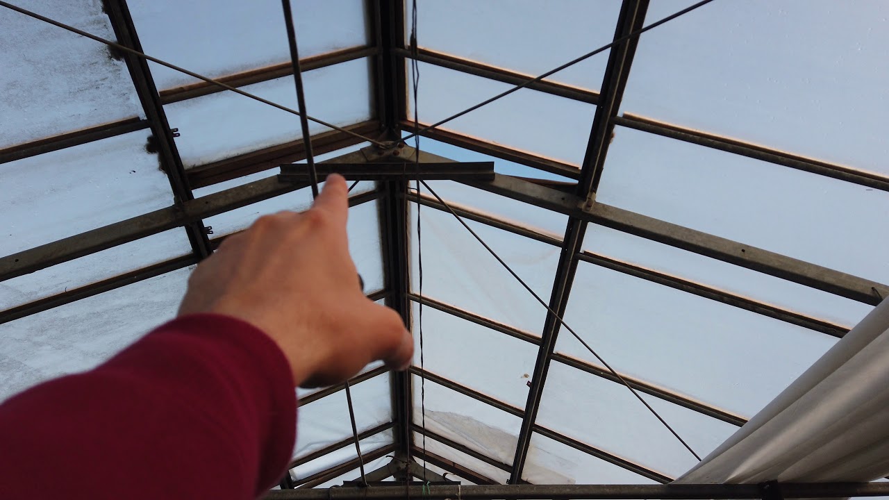 მარწყვის სათბური 30X6.80 - ზე