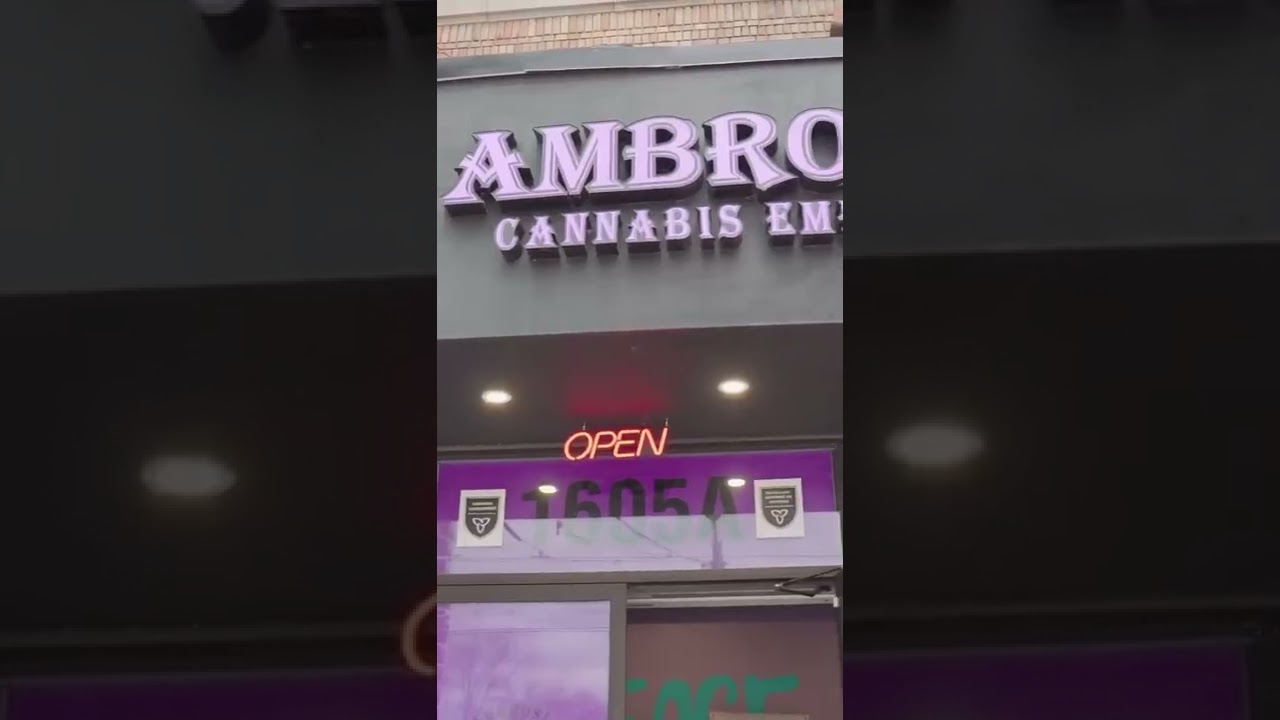 MelloMedia @ Toronto Cannabis Expo