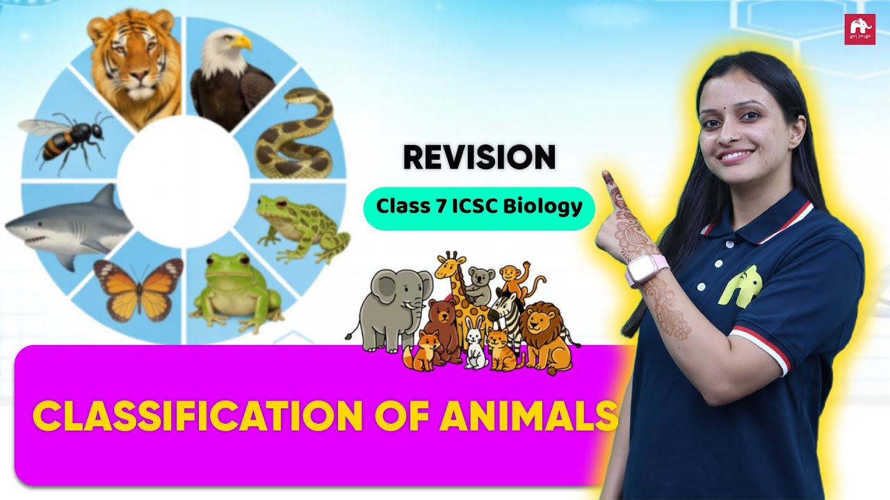 Don’t Miss This! Fast Revision of Classification of Animals | Class 7 ICSE