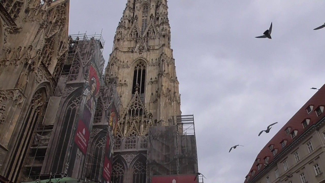 Wien, Stephansdom: Plenum (neuer Zustand)