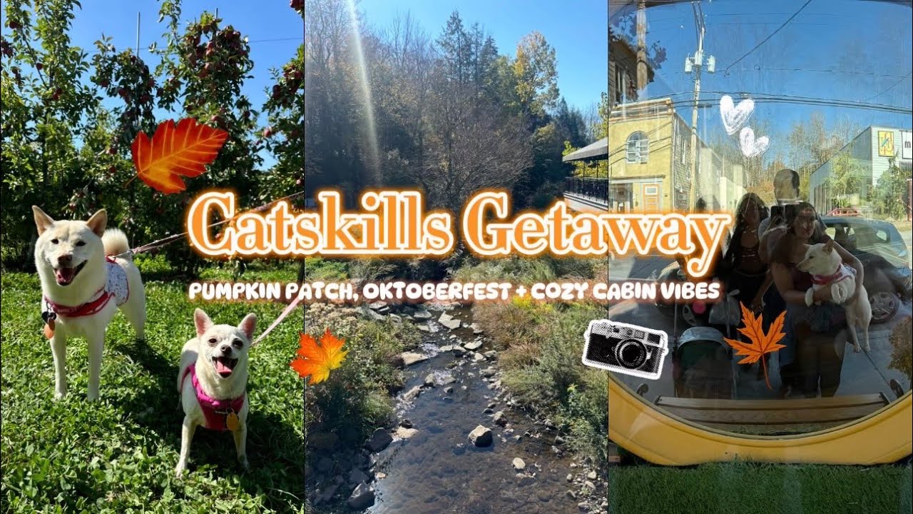 Catskills Getaway 🍂 Cozy Cabin Vibes, Oktoberfest + More ࿔*:･༄˖°.