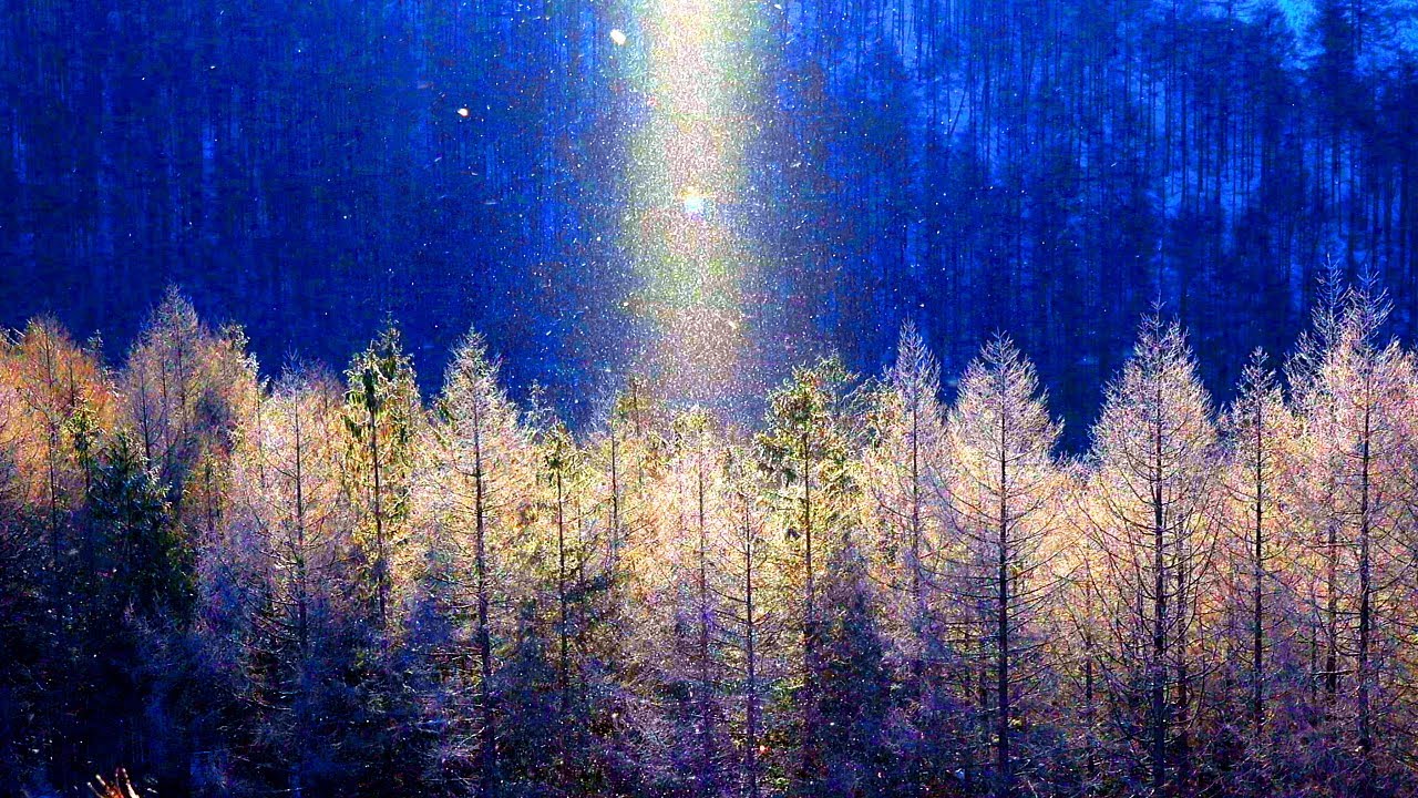 4K映像「ダイヤモンドダスト 厳冬の霧ヶ峰高原」クリスマス 聖夜 きよしこの夜 Silent Night 日本の美しい四季 長野県諏訪市 2月上旬 自然風景八ヶ岳山麓