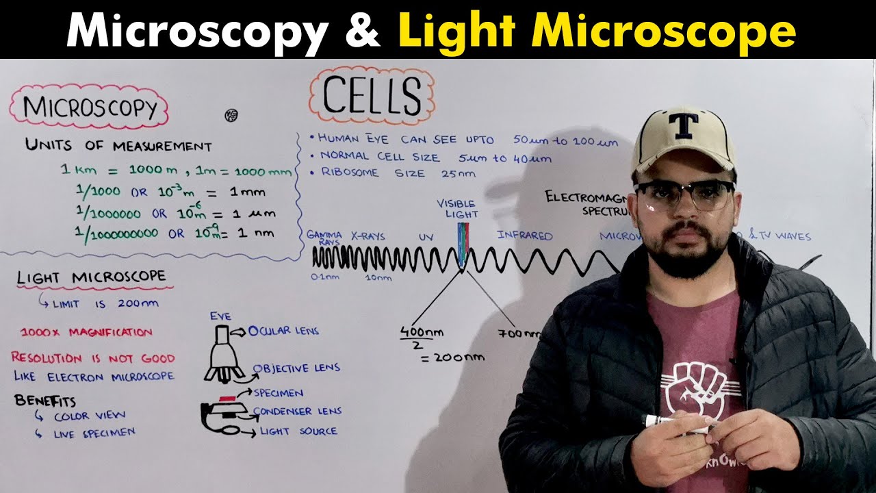 Microscopy, Units of measurement, Electromagnetic spectrum and Light Microscope (O Level Biology)