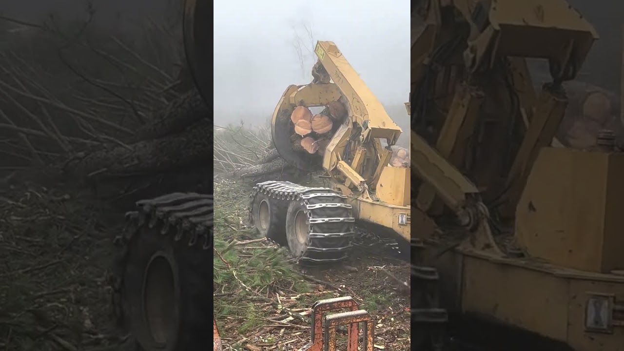 2011 Tigercat 635D Bogie Skidder