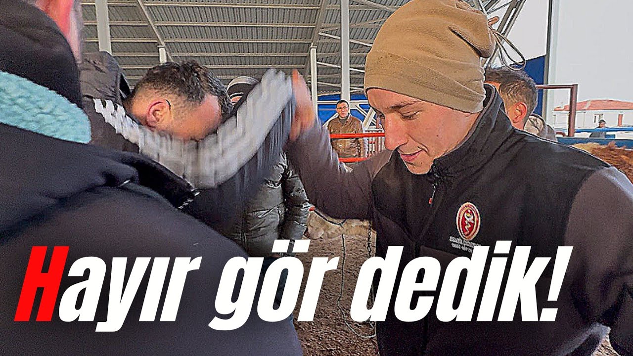 Kalite Konuşur! 2 Kurbanlık Saniyesinde Alıcı Buldu
