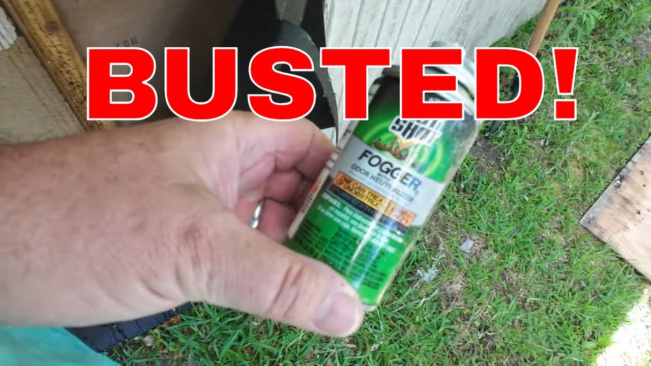 They Didn't Expect Us to Find The Evidence