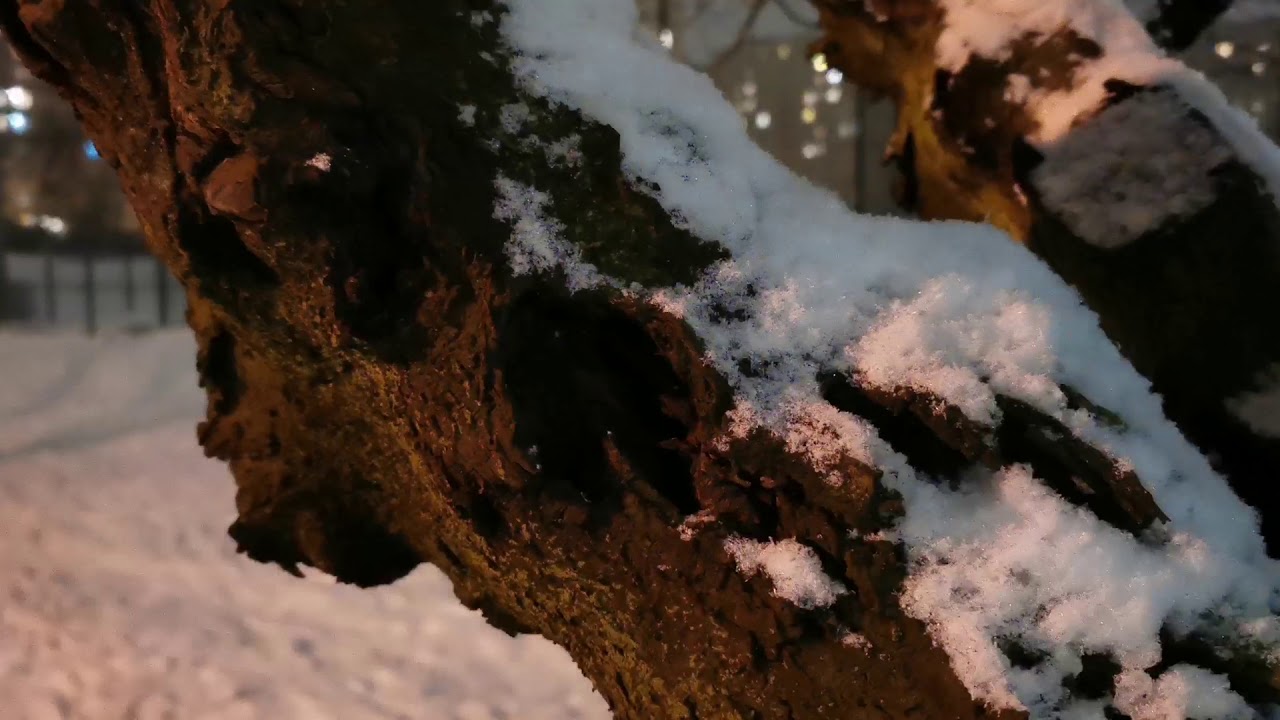 Wrocław Zima na Osiedlu Gaj 18.01.2021 Bestia ze wschodu