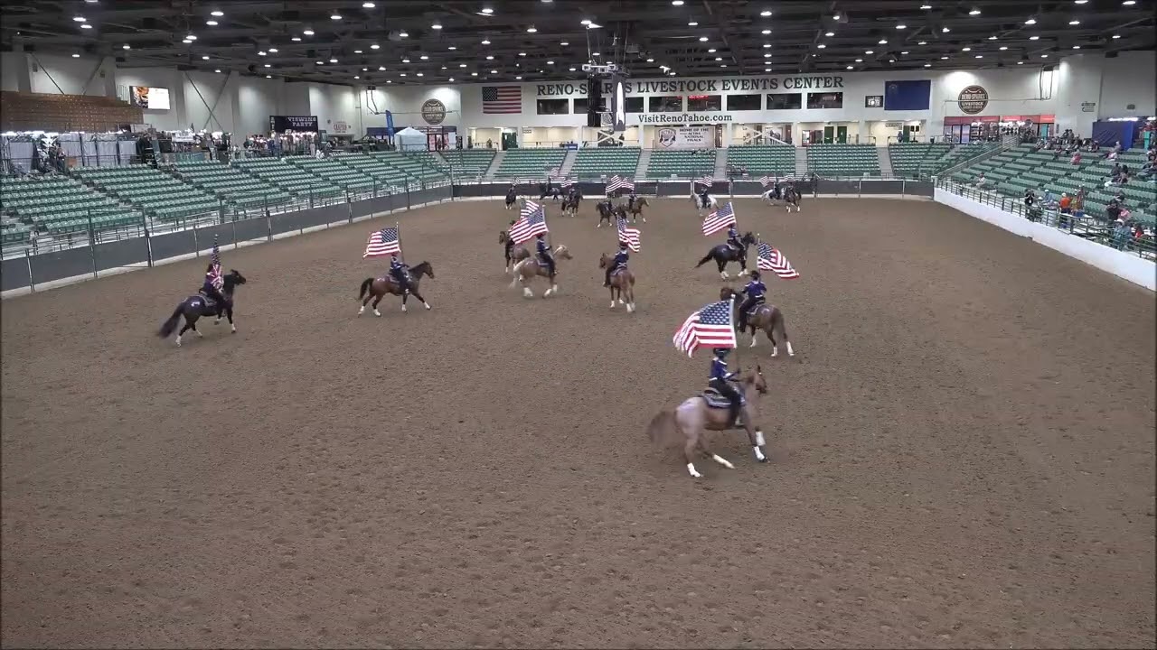 Firestorm - Freestyle - Grand Champions