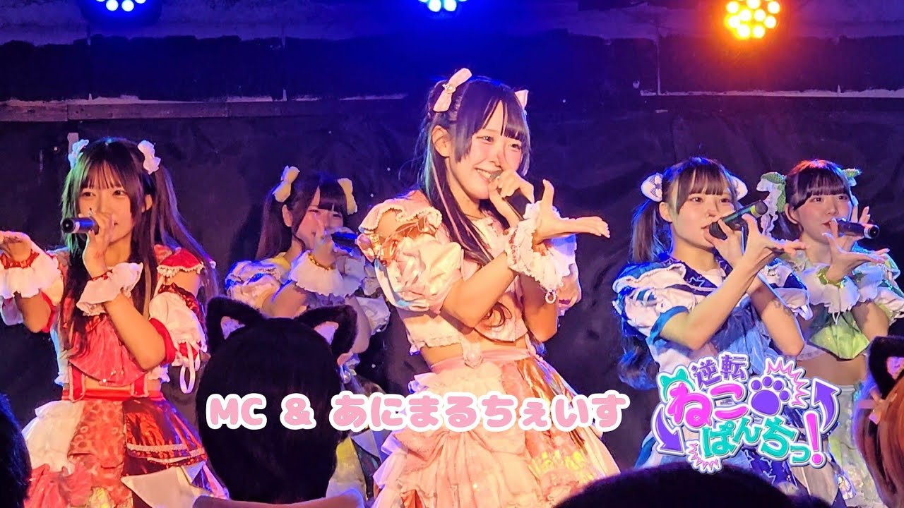 『MC & あにまるちぇいす』逆転ねこぱんちっ！× AQA -お魚さんの飼い主になってニャン- 🗓️2026.01.12