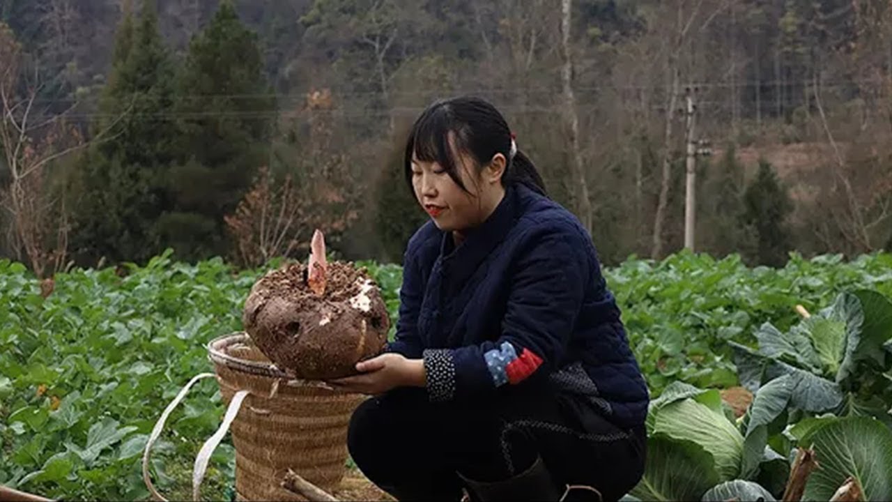 Konjac Tofu 挖兩個大魔芋回家，做一盆Q彈勁道的魔芋豆腐，鮮香味美不夠吃！【余小鄉】
