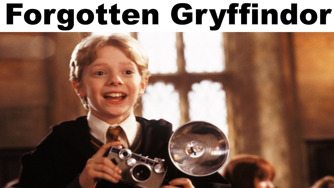 HARRY POTTER MEMES #36