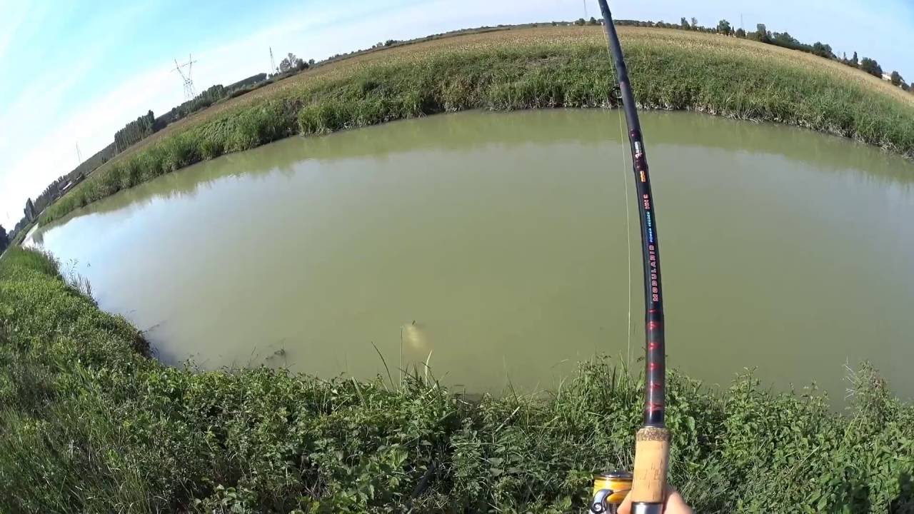 Method feeder in canale