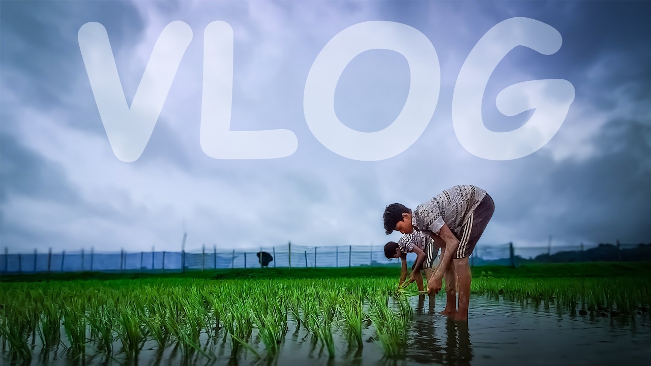 Lets Create 4K Cinematic Video with Samsung Galaxy M35 | Rural Life Of North-East