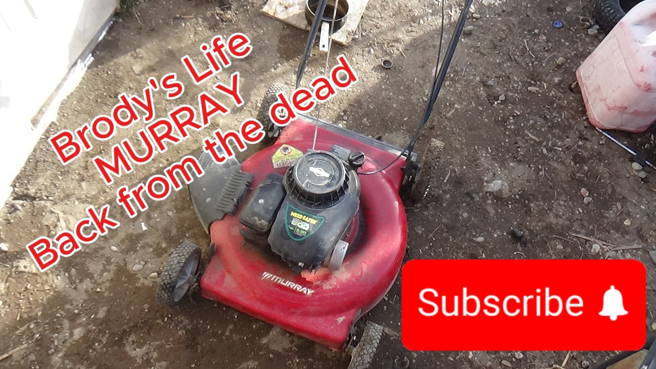 Murray Push Mower