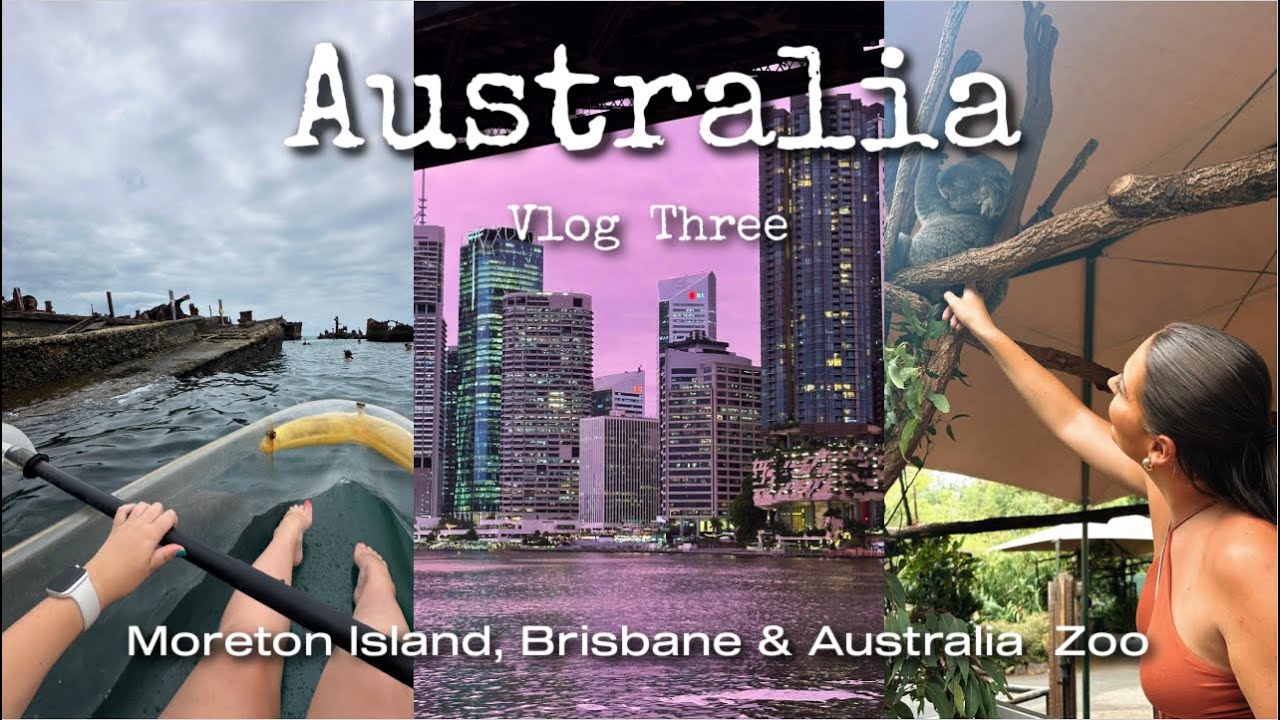 Australia Vlog 3 - Moreton Island, Brisbane & Australia Zoo 🇳🇿🐨🐊🦏