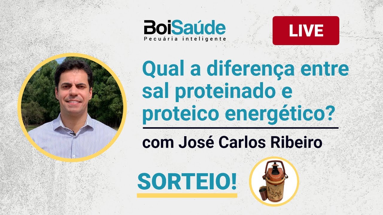 #52 QUAL É A DIFERENÇA ENTRE O SAL PROTEINADO E O PROTEICO ENERGÉTICO? | AO VIVO - 10/05/2021