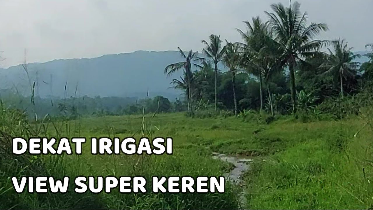 🛑 Tanah Dekat Irigasi, Luas 1.000 Meter², Harga 80 Juta