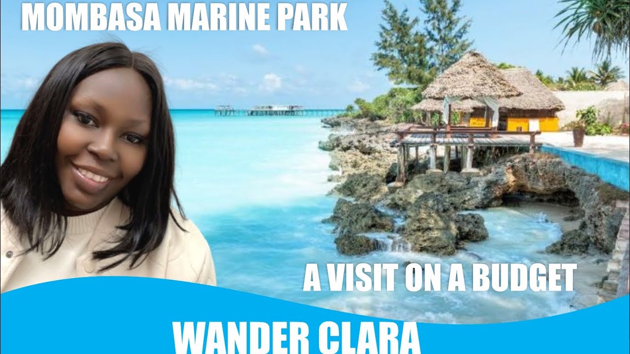 AQUARIUM SCUBA DIVE ON BUDGET AT MOMBASA