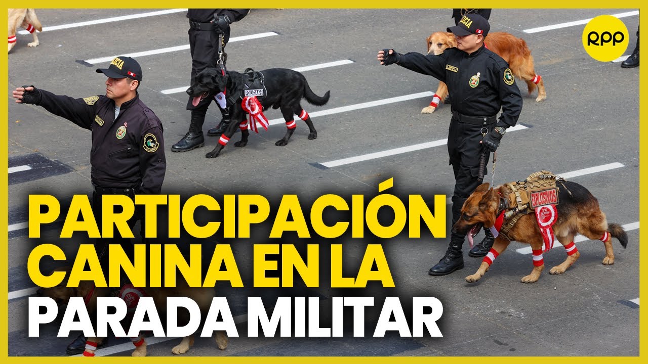 Policía canina participa en la Gran Parada y Desfile Cívico Militar